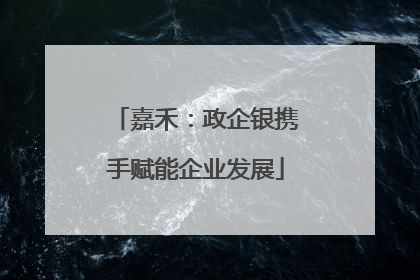 嘉禾：政企银携手赋能企业发展